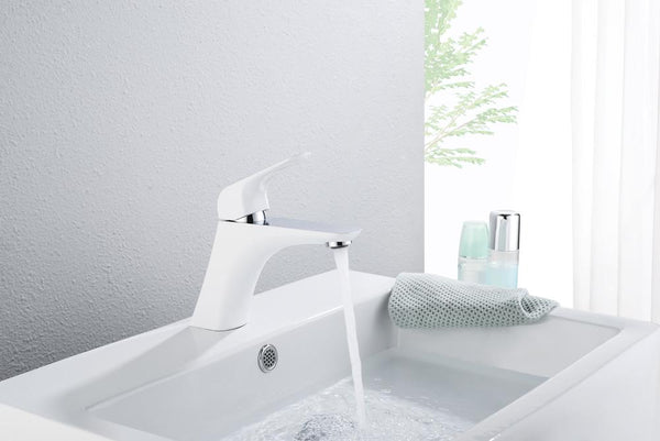 Evos Boutiques white and chrome vanity faucet