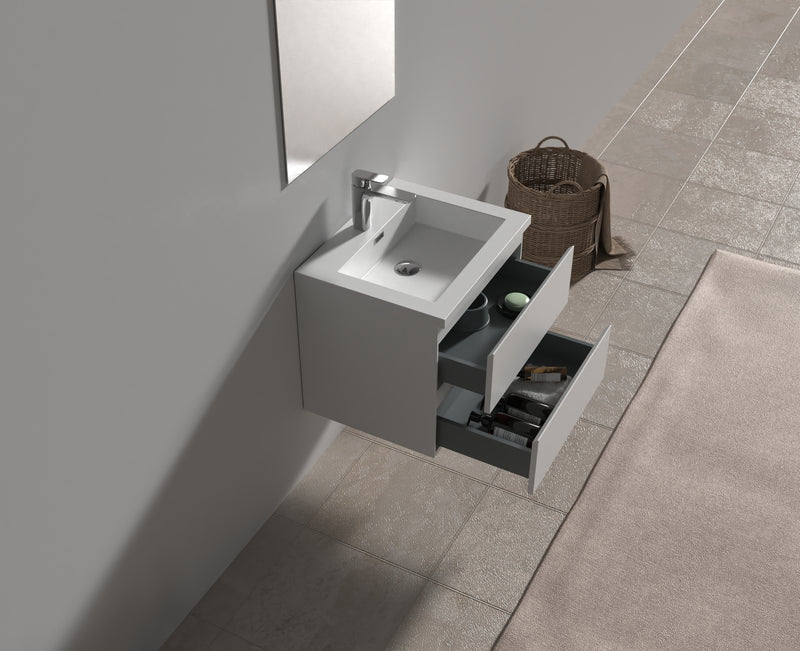 Evos Boutiques 24 in wall mounted vanity