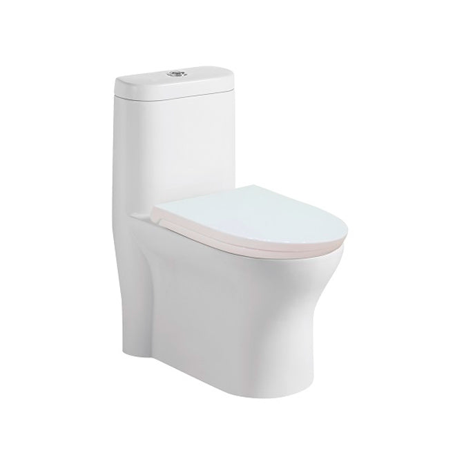 Evos Boutiques white dual flush toilet