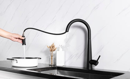 Sensor Touch Kitchen Faucet with pull down perfomance